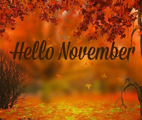Pin by Leanna McLean on FALL Sayings and Graphics | November pictures, Hello november, November ...