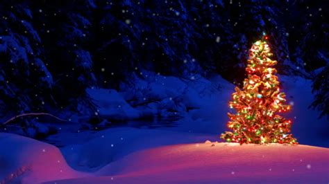 Royalty Free Christmas Tree Hd Video 4k Stock Footage And B