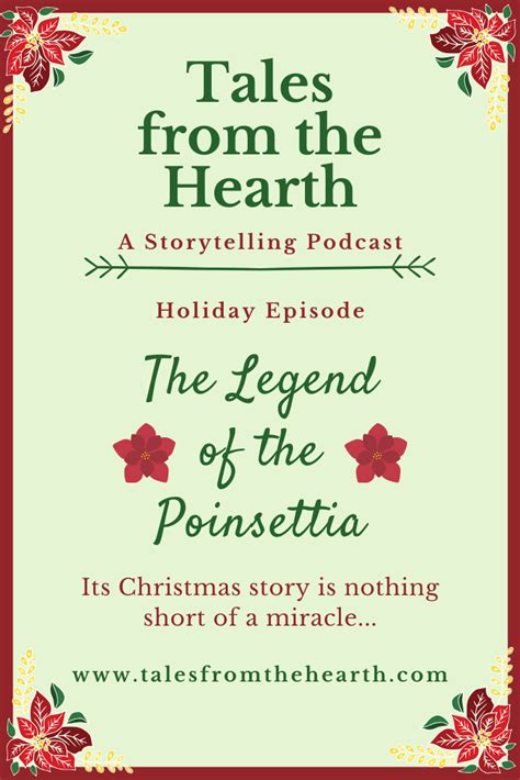 Forget Everything You Knew About The Poinsettia The Official Christmas