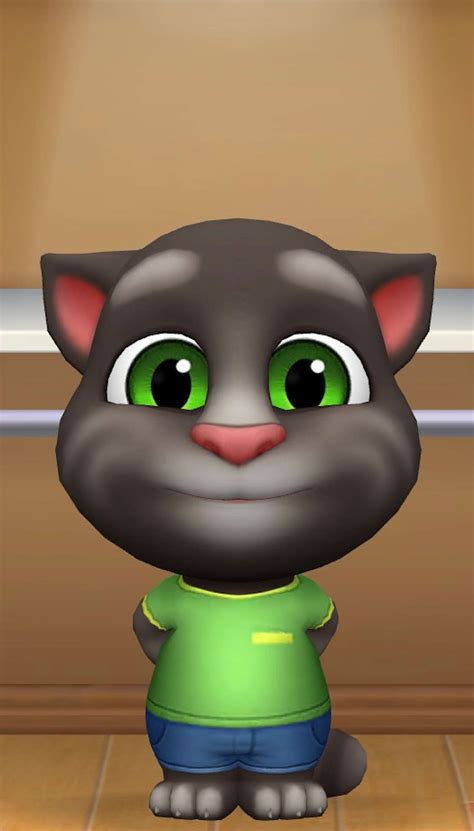 My Talking Tom Friends