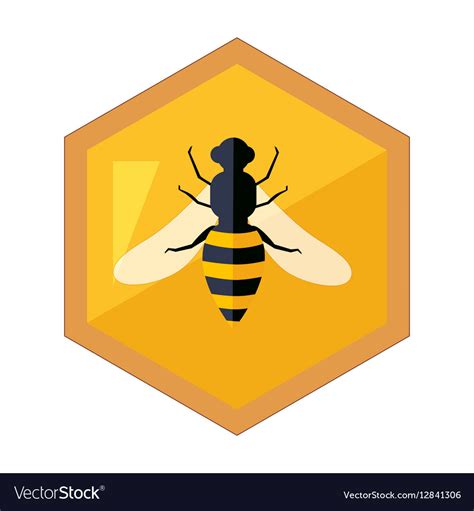 Hexagon Shape Honeycomb With Bee Insect In Center Vector Image