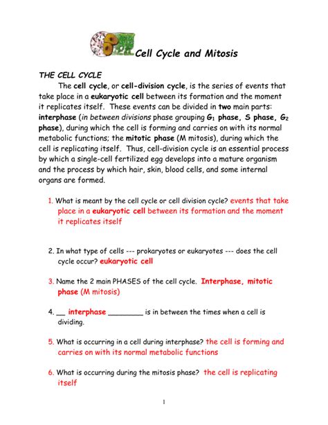 Genetics 101| in part 2 of this series i focus on cell division, explaining the key features and stages of mitosis and meiosis. Cell Cycle and Mitosis Packet