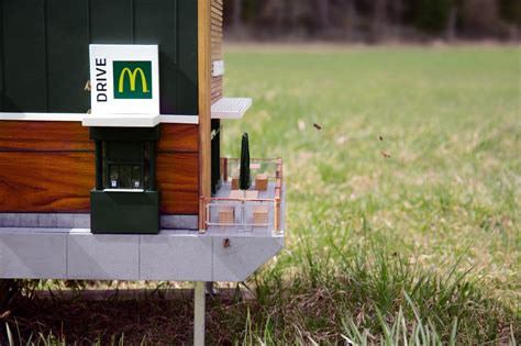 Check spelling or type a new query. World's Smallest McDonald's 'McHive' Open for Bees | HYPEBEAST