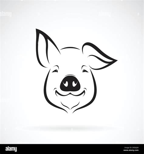 Vector Of Pig Head Design On White Background Farm Animals Easy