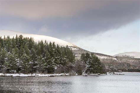 Winter Scene At Loch Morlich In The Cairngorms National Park Of