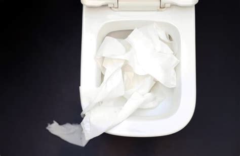 How To Fix A Toilet Clogged With Paper Towels 5 Steps To Happy