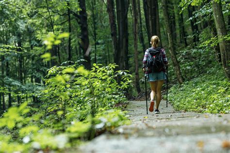 Doctors Prescribe Natural Walks To Treat Depression And More