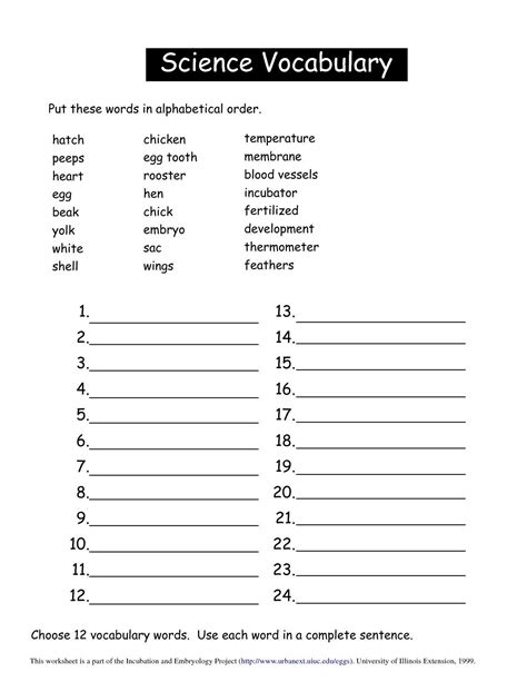 9th Grade Vocabulary Worksheets