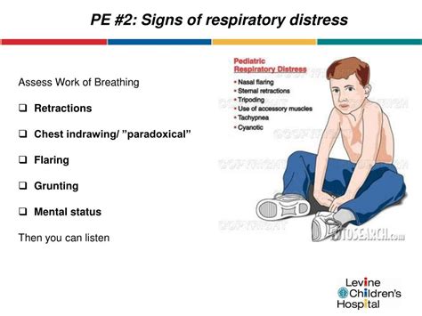 The common signs and symptoms include cough, fever, sputum production, chills, and. PPT - Lower respiratory Infection in Children Dave Rupar ...
