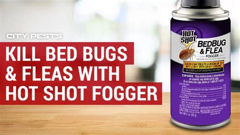 Kill Bed Bugs And Fleas With Hot Shot Fogger How To Use Hot Shot Fogger
