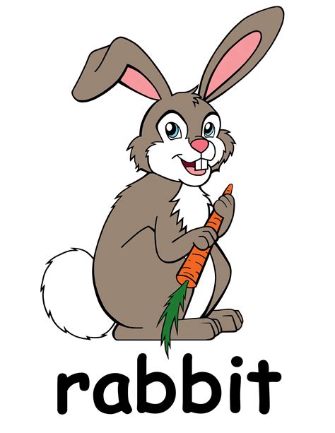 Cartoon Bunny Pictures Kids Clipart Best