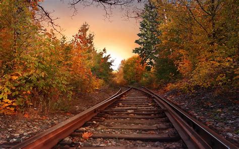 Landscapes Nature Trees Autumn Skylines Railroad Tracks Wallpaper
