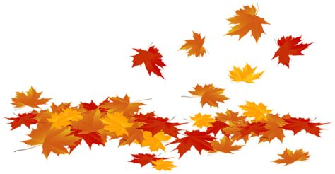 Fallen Autumn Leaves Png Clip Art Image Autumn Leaves Wallpaper Fall