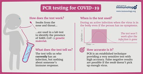 In medicine, we use this tool mainly to diagnose a viral. COVID-19 testing infographics | British Society for Immunology