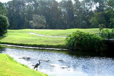 Disneys Magnolia Golf Course Orlando 2018 All You Need To Know