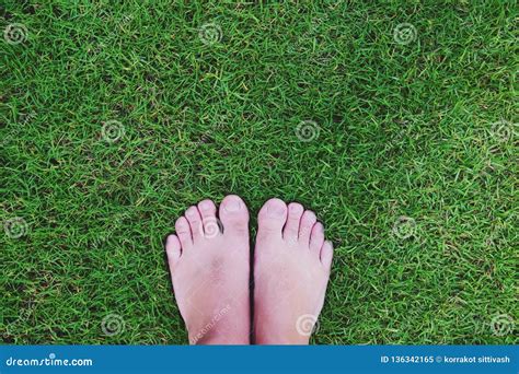 Men`s Bare Feet On Green Grass Stock Image Image Of Legs Free Nude Porn Photos