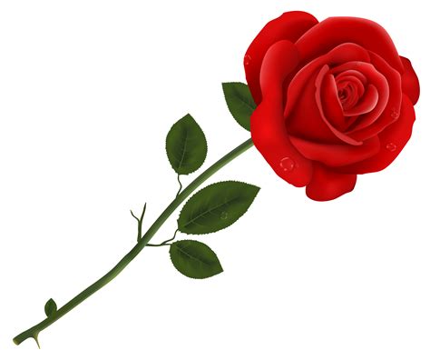 Rose Png Transparent Images Pictures Photos Png Arts