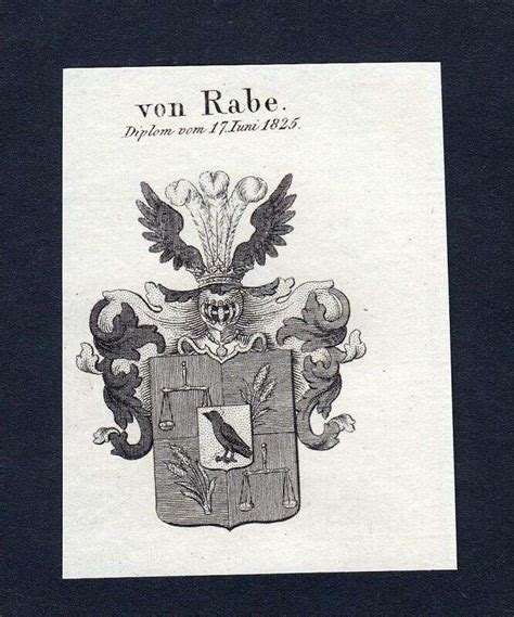 Horn Horn Wappen Adel Coat Of Arms Kupferstich Antique Print