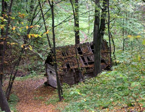 Old House Haunted Forest House In The Woods Night Forest