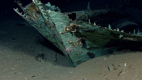 200 Year Old Shipwreck Discovered In ‘unexplored Gulf Of Mexico Photos