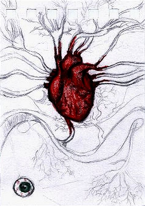 You can edit any of drawings via our online image editor before downloading. Real Human Heart Drawing at GetDrawings | Free download
