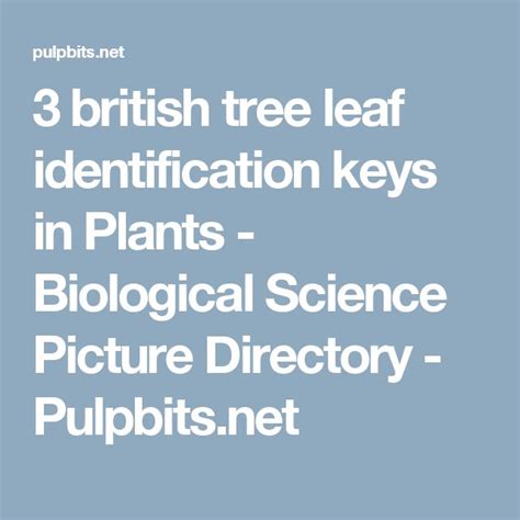 British Tree Leaf Identification Keys In Plants Biological Science