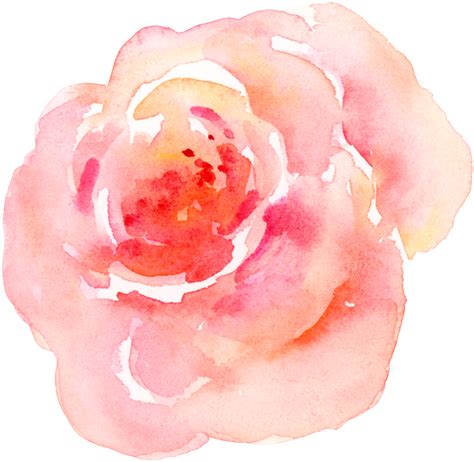 Floral Watercolor Png Pink Watercolor Flowers Png Transparent Images