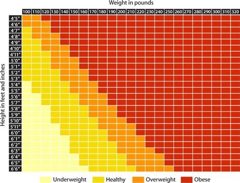 Web Md Bmi Calculator Tells You Your Ideal Weight How Many Calories