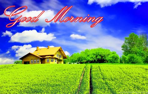 Free Download Latest Good Morning Images Wallpaper Photo Pics Hd