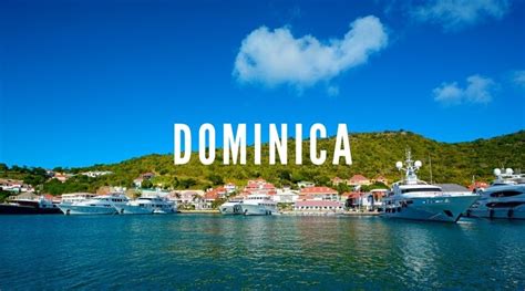 dominica yacht charter yachts and catamarans 2023 2024 ybh