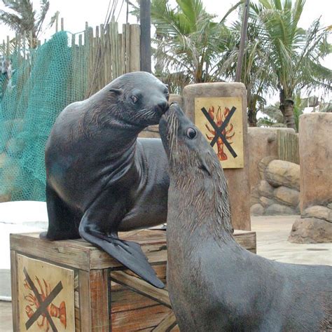 Ushaka Marine World Latest Fees Opening Hours Animals Aquarium Photos