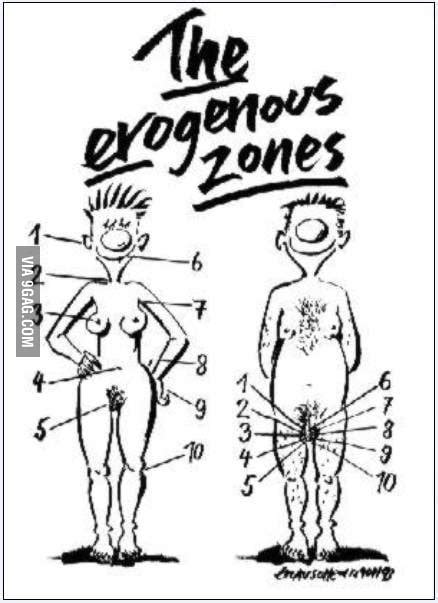 MALE AND FEMALE EROGENOUS ZONES 9GAG
