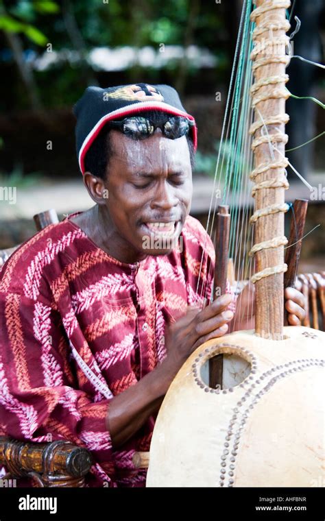 Gambian Musician Playing The Kora A Traditional Musical Instrument