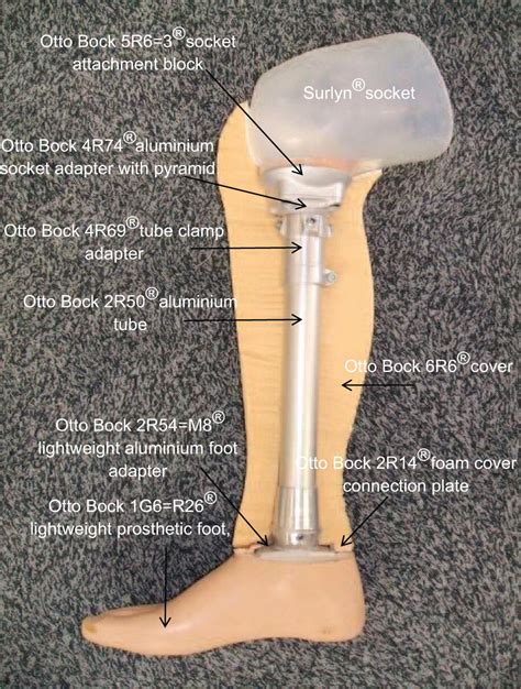 Development Of A Cosmetic Knee Disarticulation Prosthesis A Single