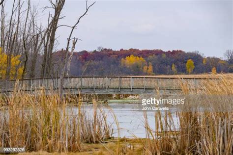 Horicon Marsh Photos And Premium High Res Pictures Getty Images