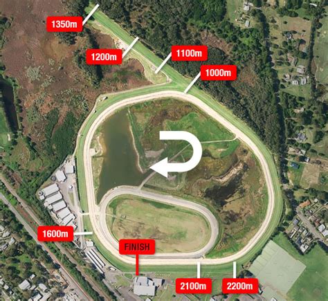 Wyong Racecourse Form Guide Track Map Tips And Results