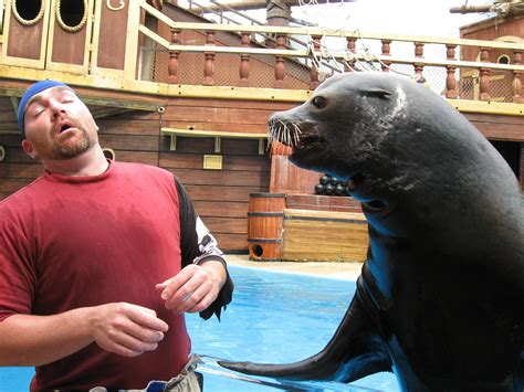 Sea Lion Barks At Trainer Orlando Florida Sea Lion Animals Creatures