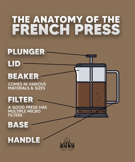 How To Use A French Press The Classic Brew The Coffee Guru