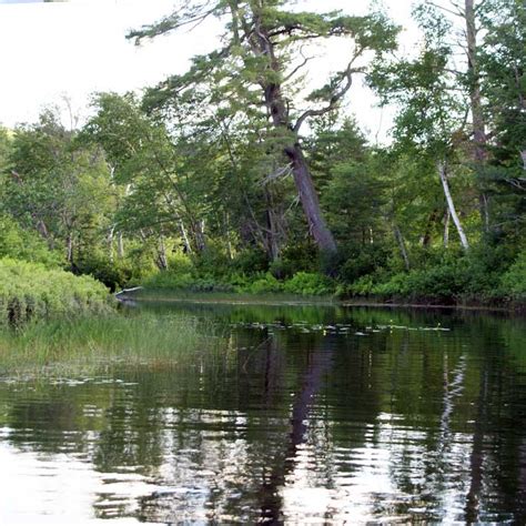 Ft.) in lake park, ga. Jackman Maine - Cozy Cove Cabins