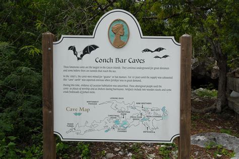 Conch Bar Caves The Largest Limestone Cave System In The Caicos