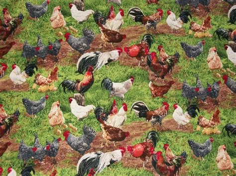 Rooster Fabric Chicken Fabric By The Yard Elizabeth Etsy Chicken
