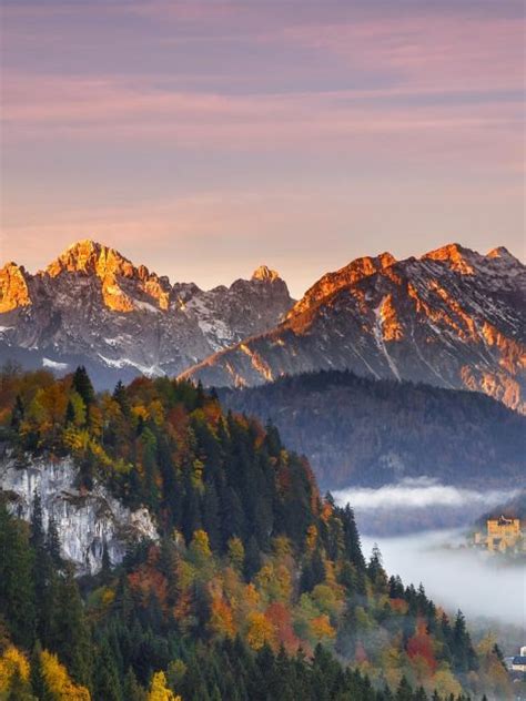 Autumn Neuschwanstein Bing Wallpaper Download