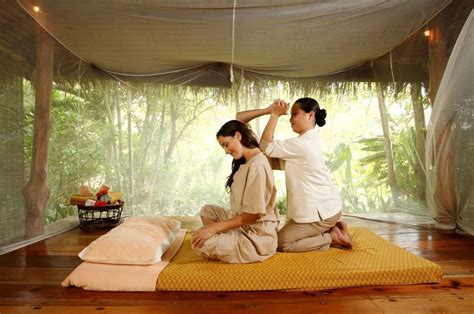 Top 5 Thai Massage Destinations For Well Being And Detoxification Treehouse Villas Luxury