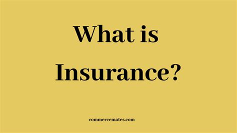 Importance of Insurance to Business » Commerce Mates