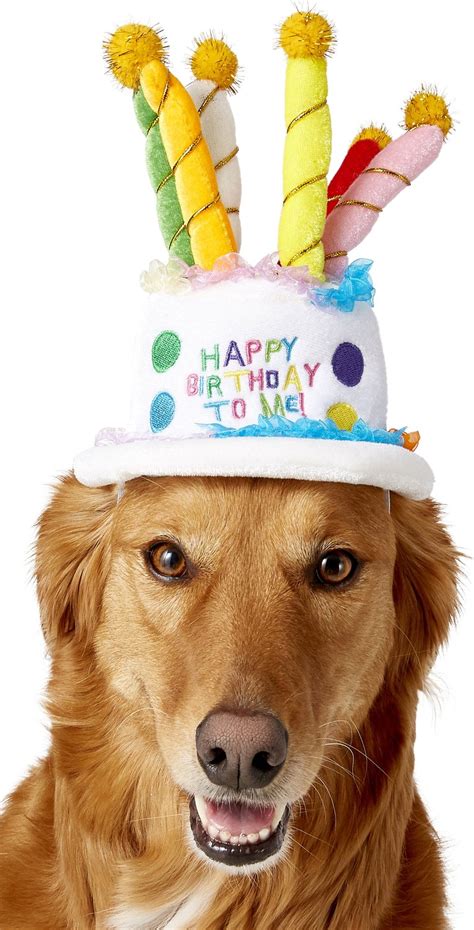 Rubies Costume Company Birthday Cake Dog Hat Mediumlarge