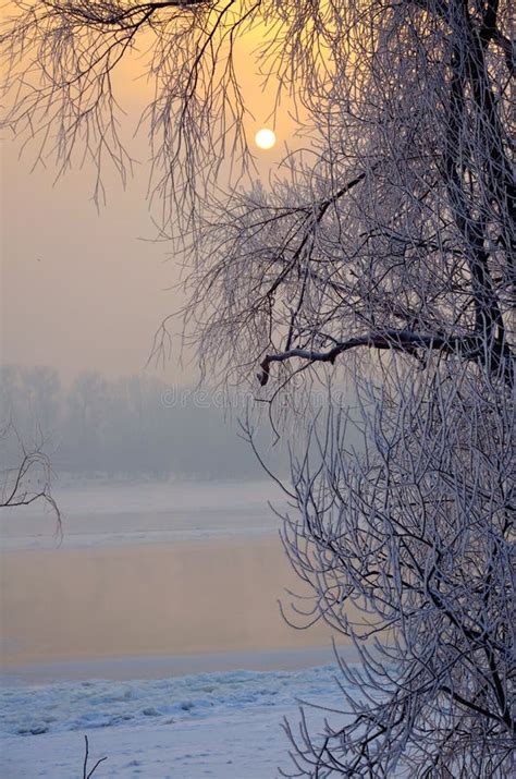 The Nature Of Siberia Stock Photo Image Of Biya Winter 105143308