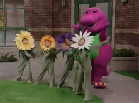 What Makes A Flower So Pretty Barney Wiki Fandom