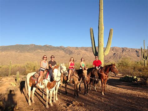 The 10 Best Arizona Horseback Riding Tours Updated 2024