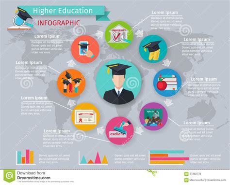 Higher Education Infographics Stock Vector Illustration Of