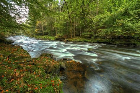 Germany Forest River Bavaria Nature Wallpapers Hd Desktop And